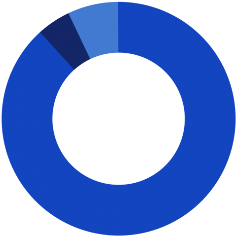 graphique gouvernance actionnariat